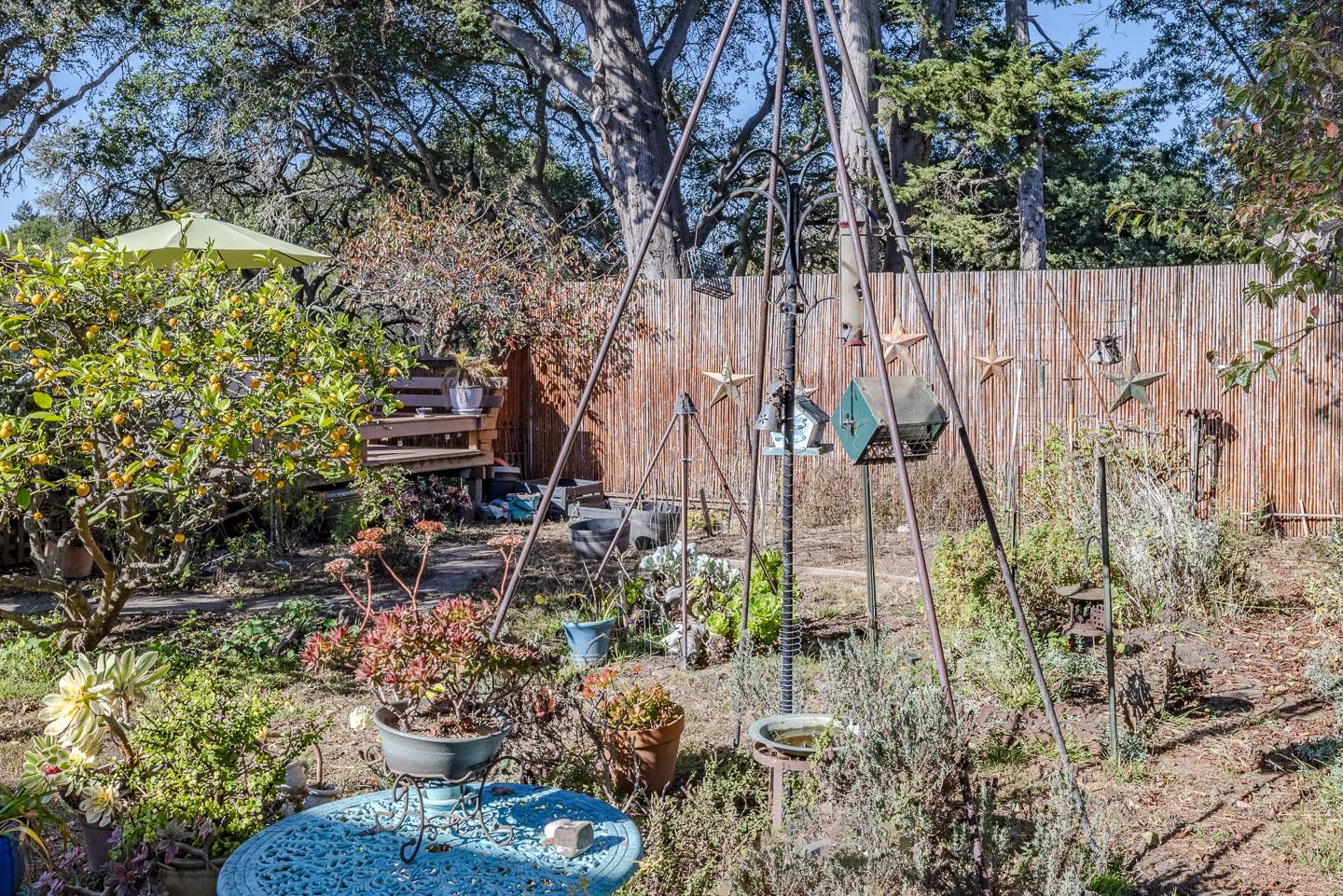 2901 Sandy Lane