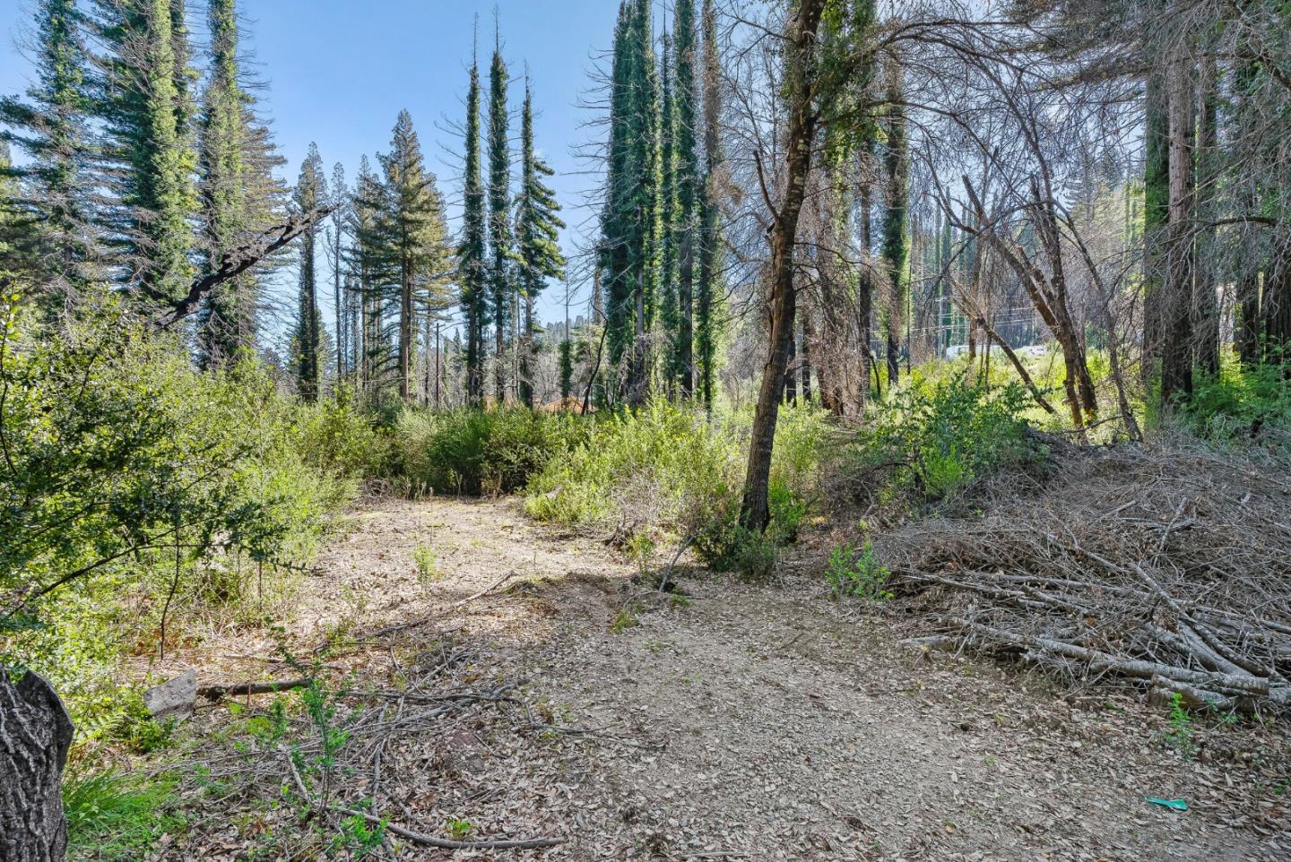 15995 Big Basin Way