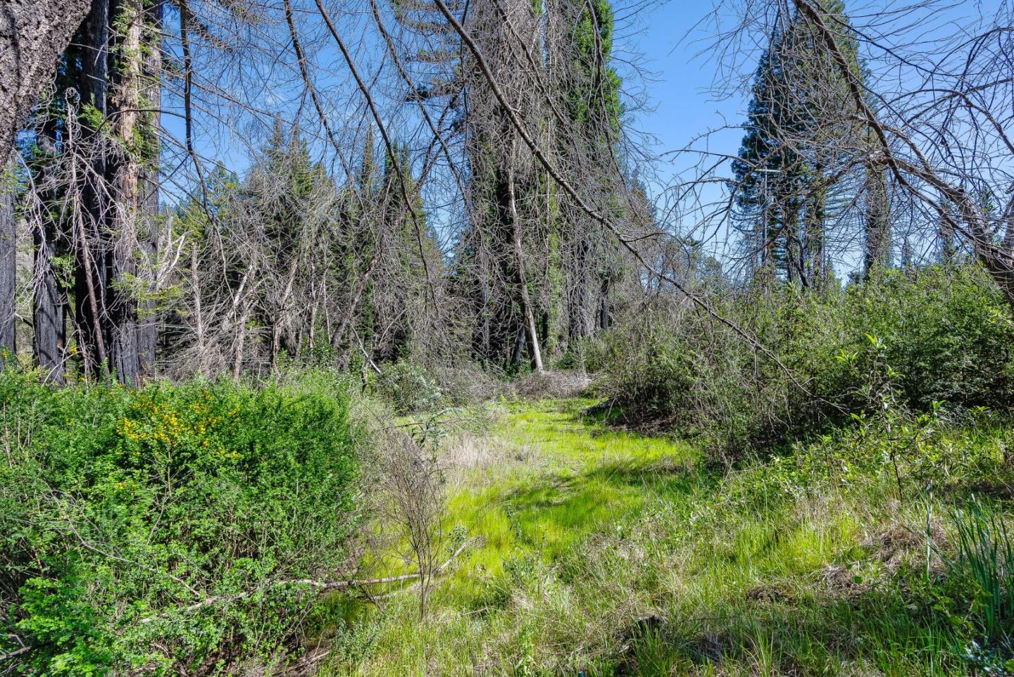 15995 Big Basin Way
