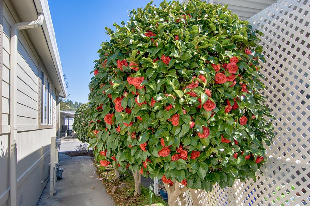 225 Mount Hermon Road Unit: 40
