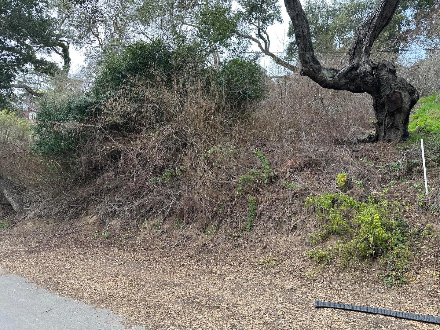 000 Encino Drive