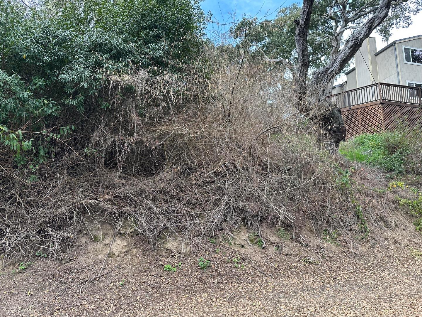 000 Encino Drive