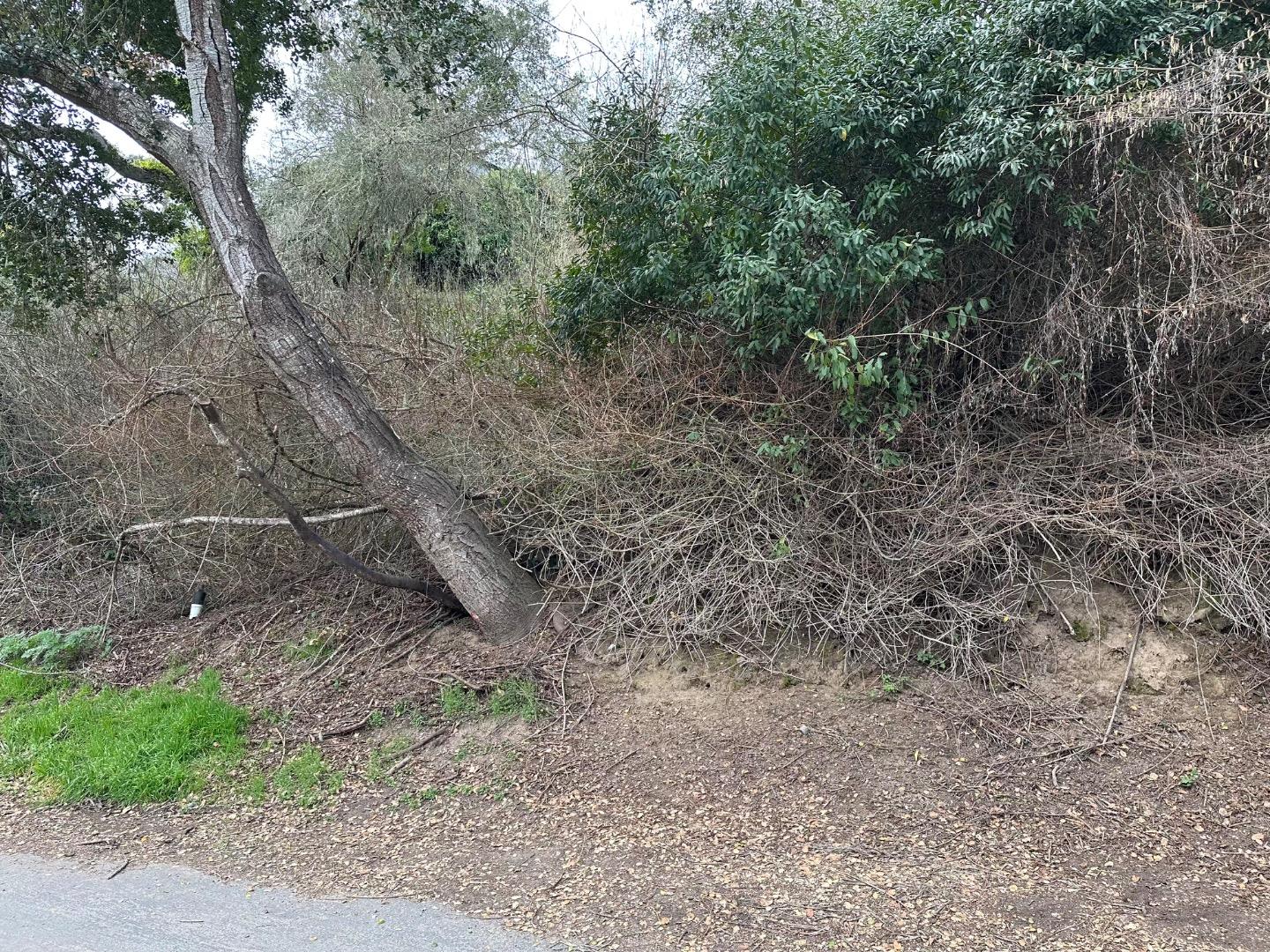 000 Encino Drive