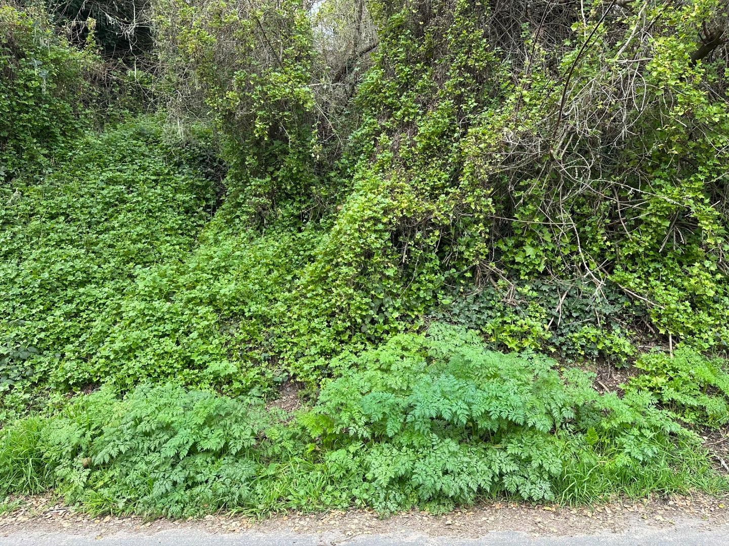000 Encino Drive