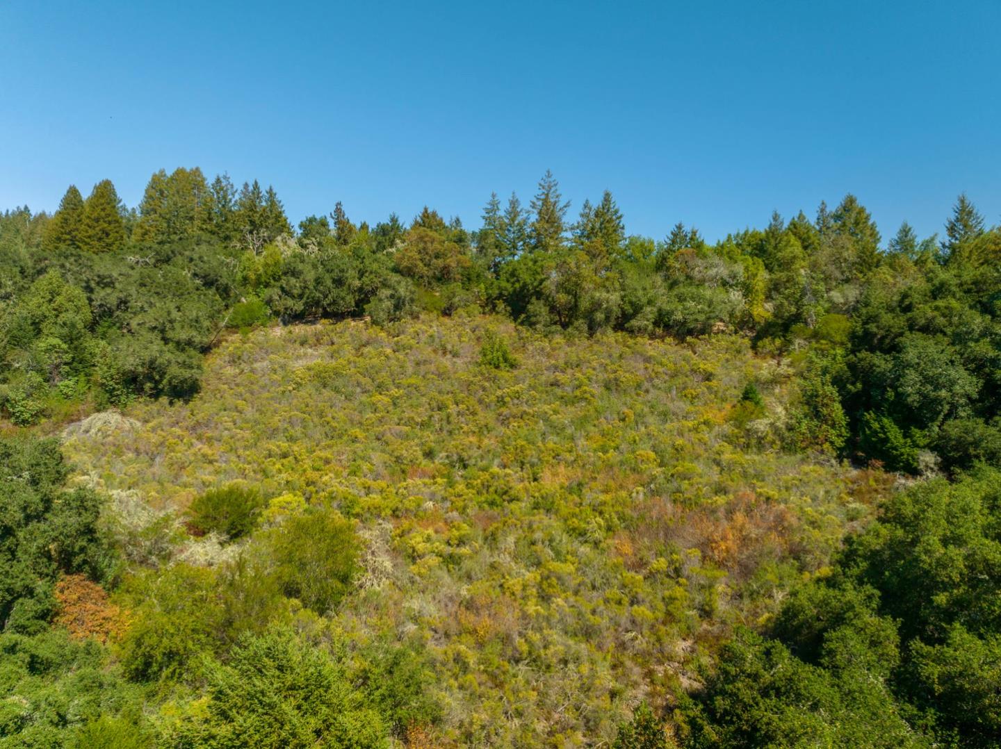 2372 Bean Creek