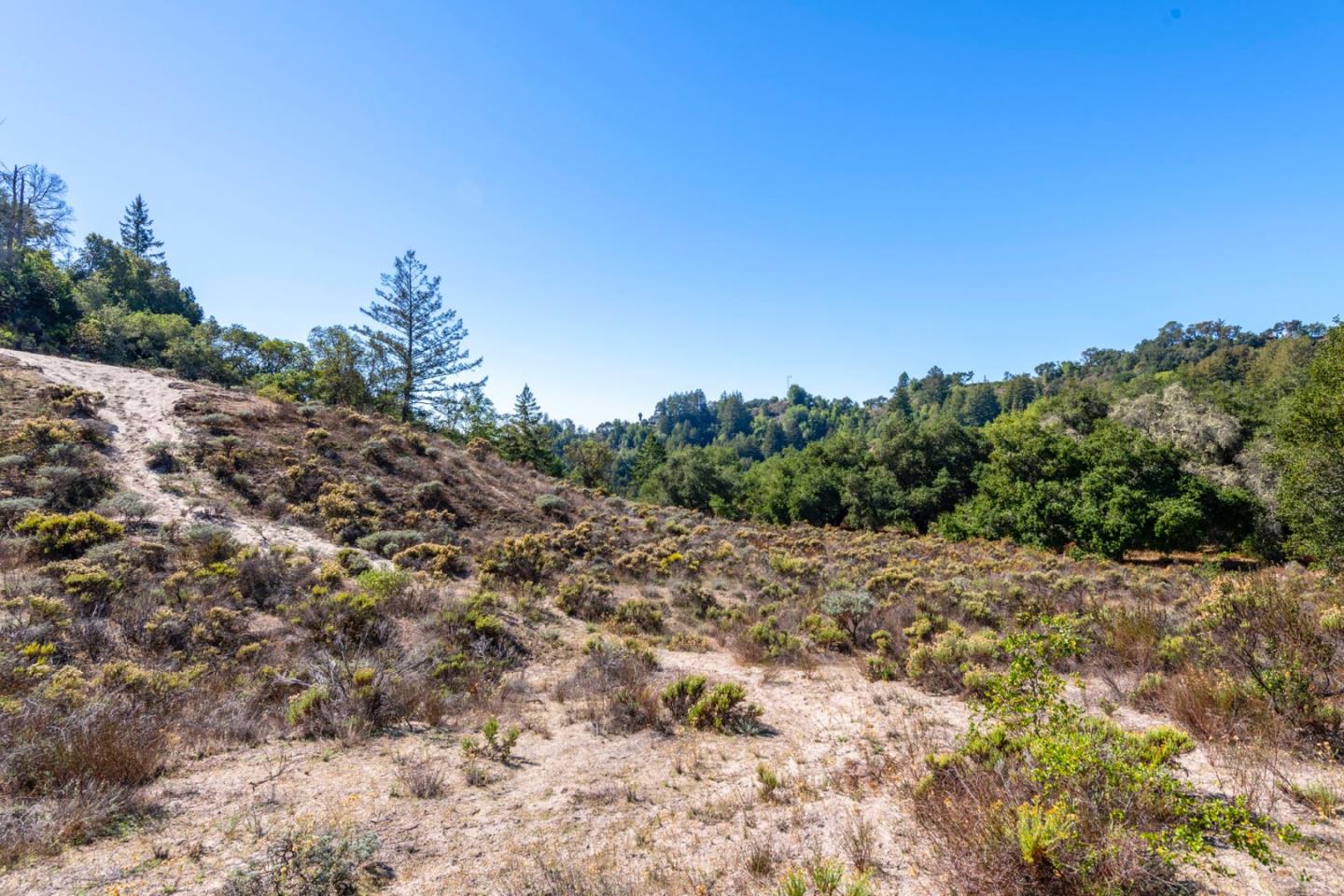 2372 Bean Creek