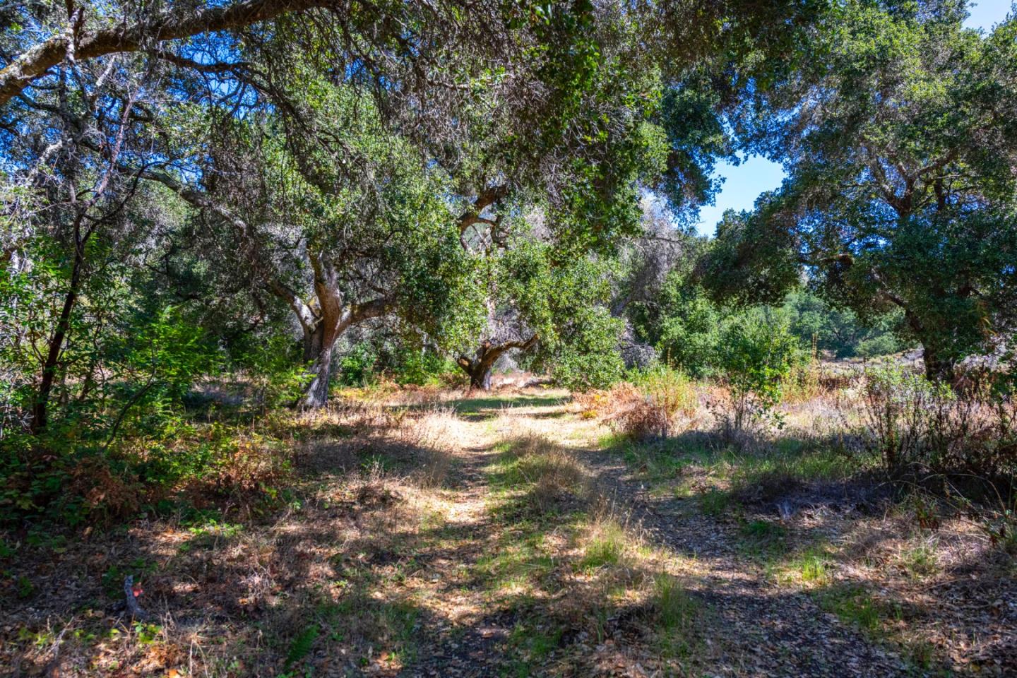 2372 Bean Creek