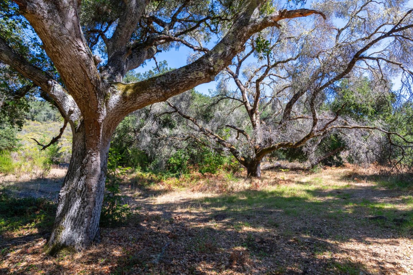 2372 Bean Creek
