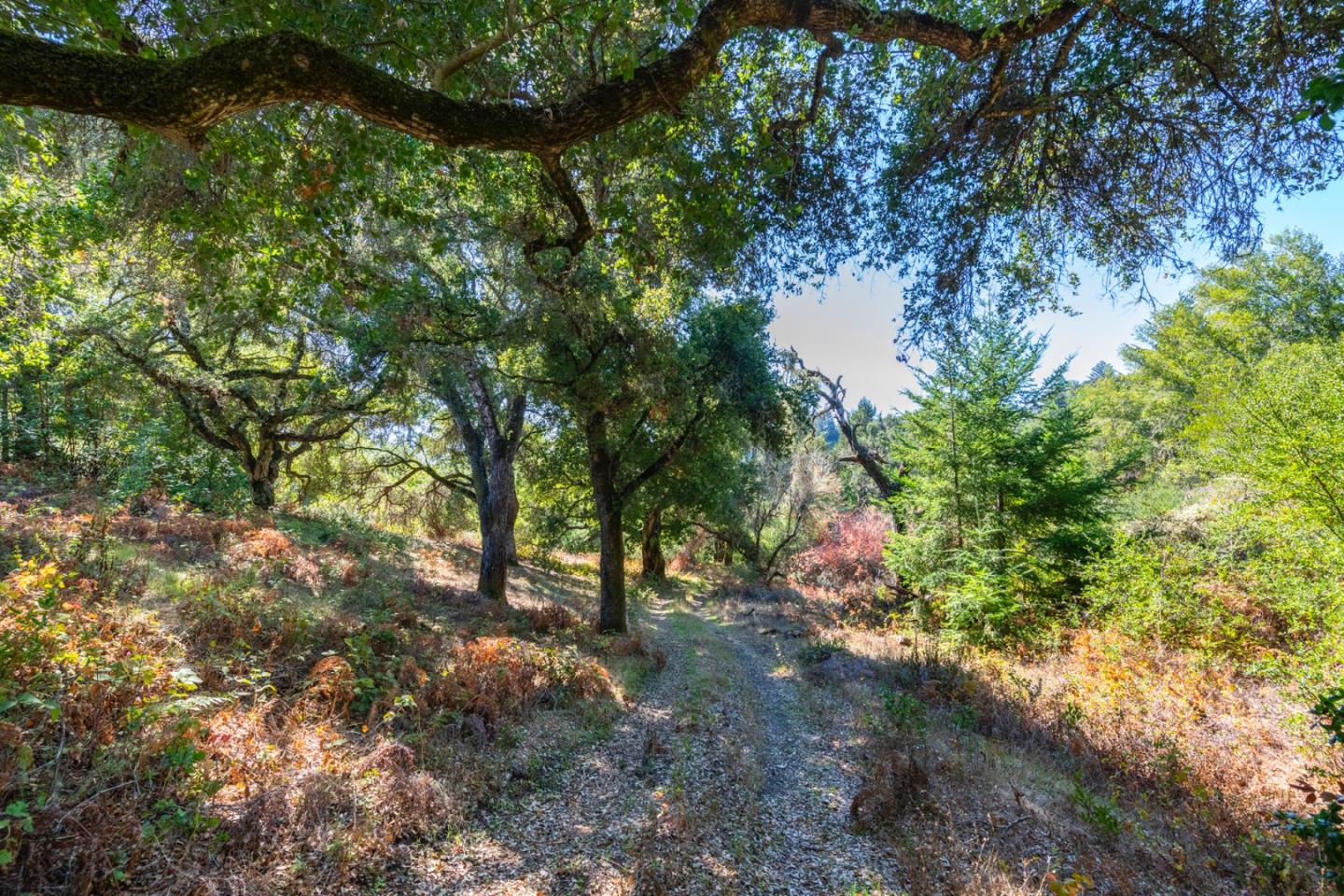 2372 Bean Creek