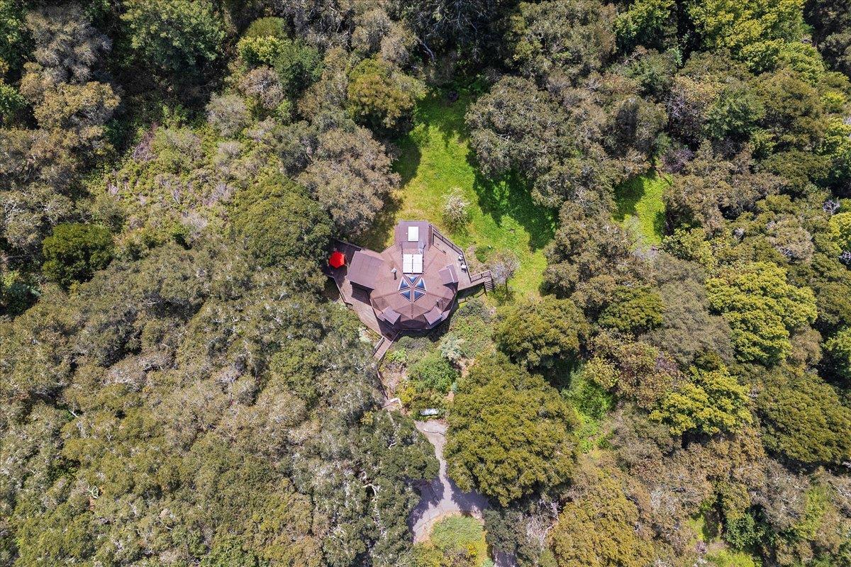 250 Homestead Trail