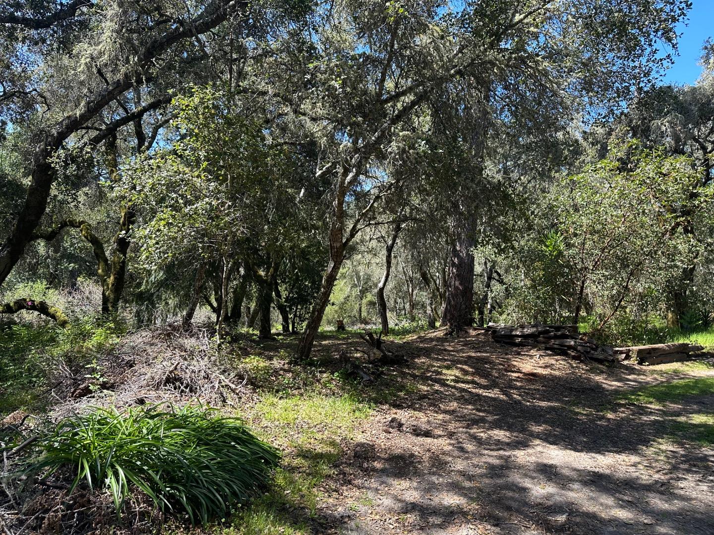 000 Hidden Glen Drive