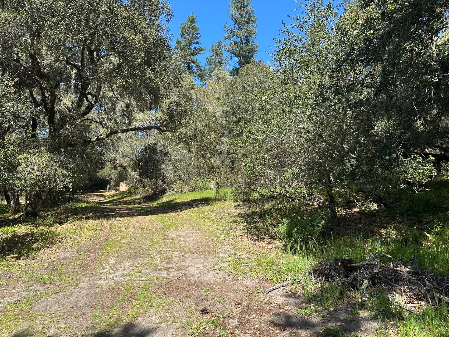 000 Hidden Glen Drive