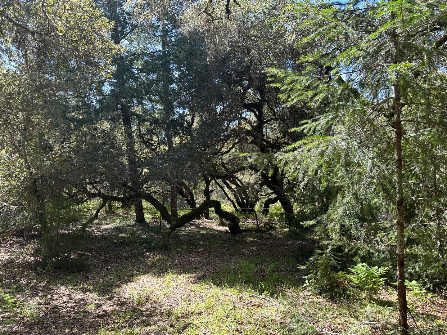 000 Hidden Glen Drive