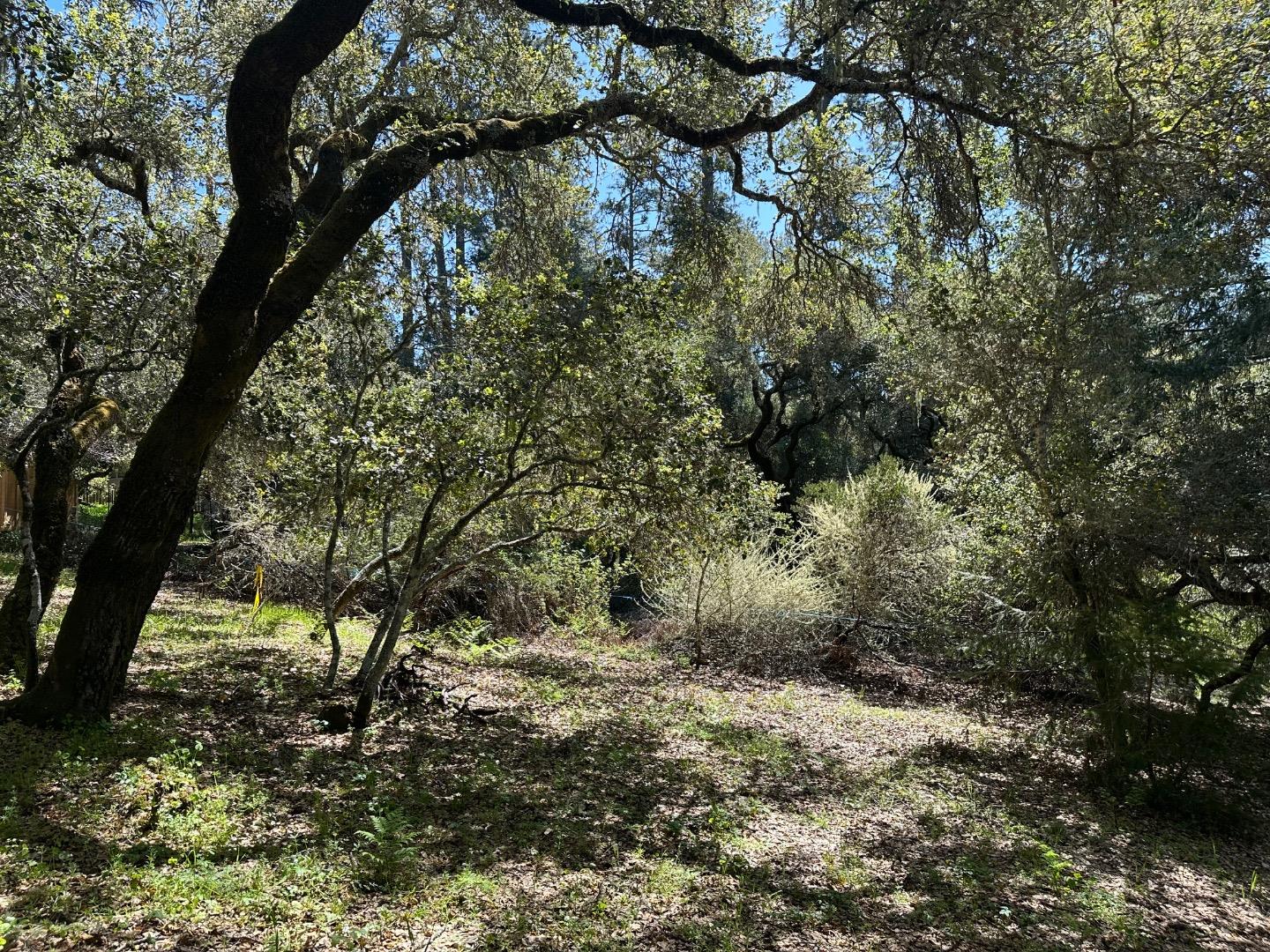 000 Hidden Glen Drive