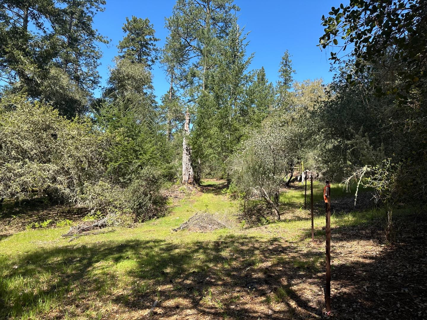 000 Hidden Glen Drive