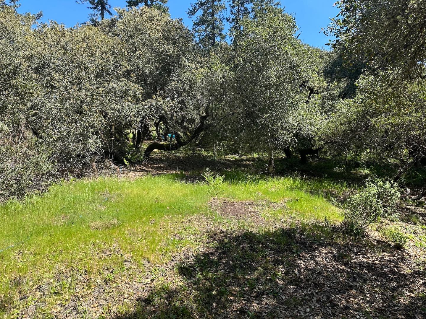 000 Hidden Glen Drive