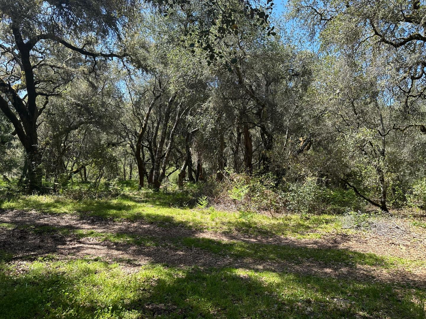 000 Hidden Glen Drive
