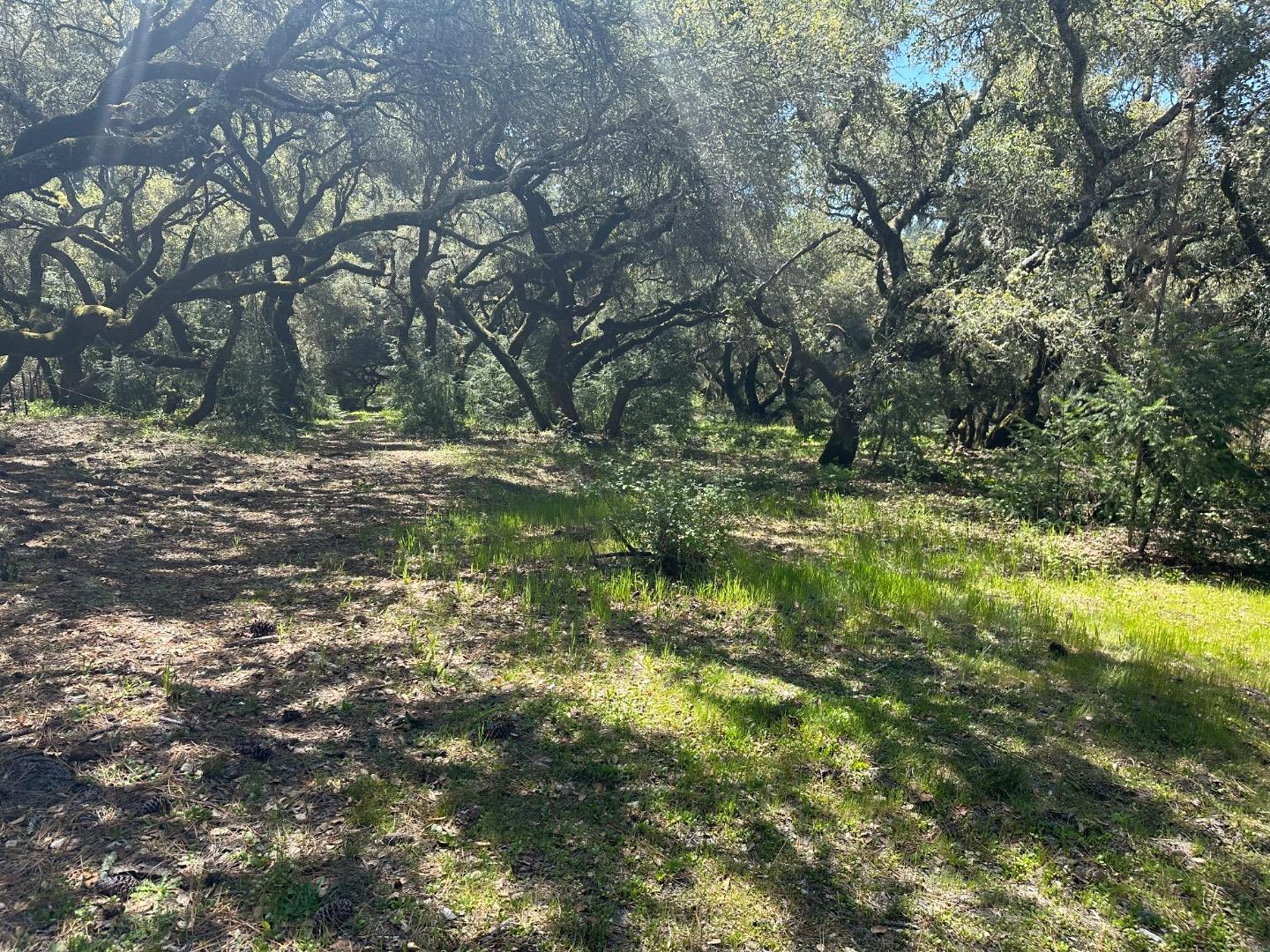 000 Hidden Glen Drive