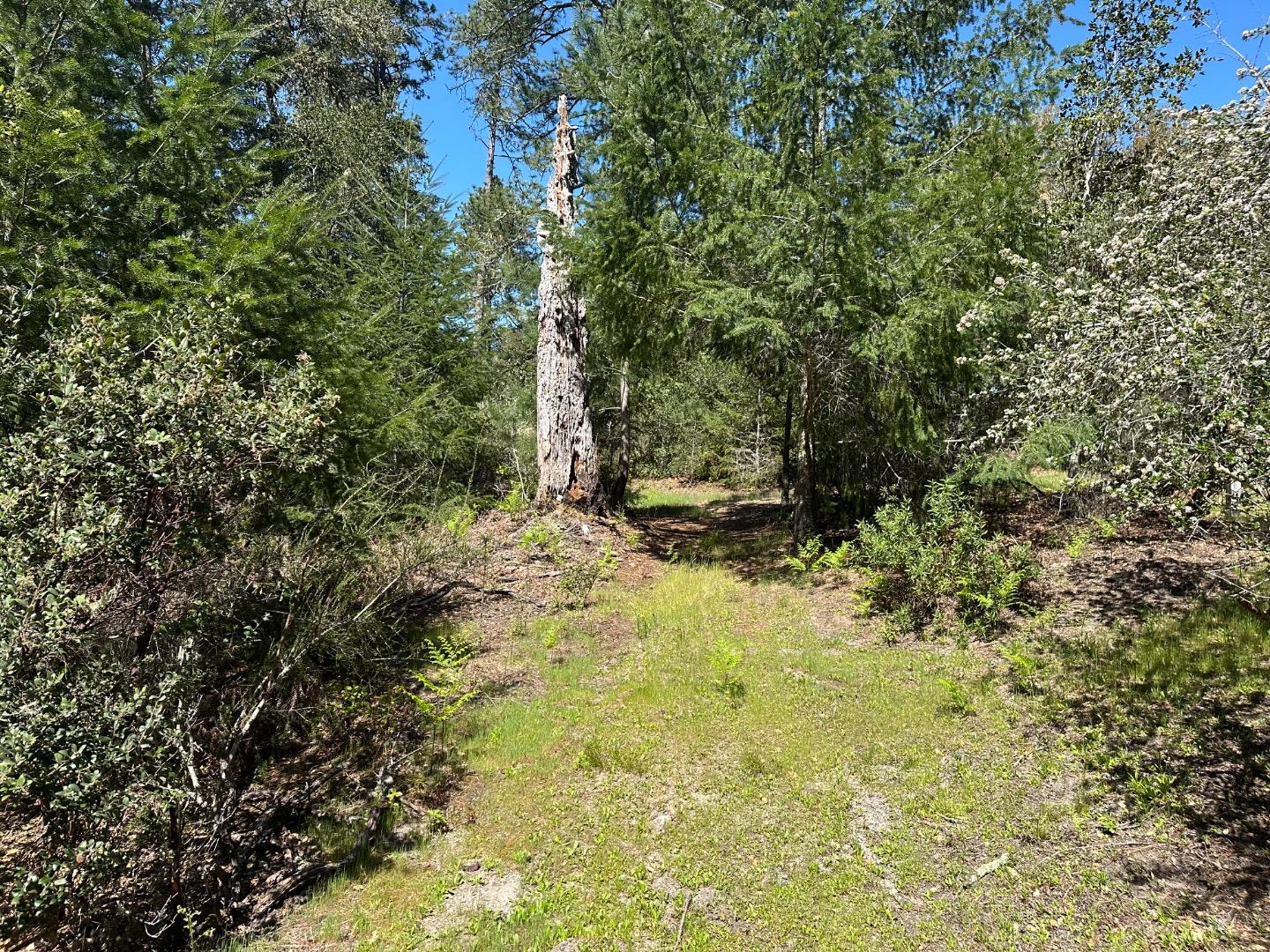 000 Hidden Glen Drive