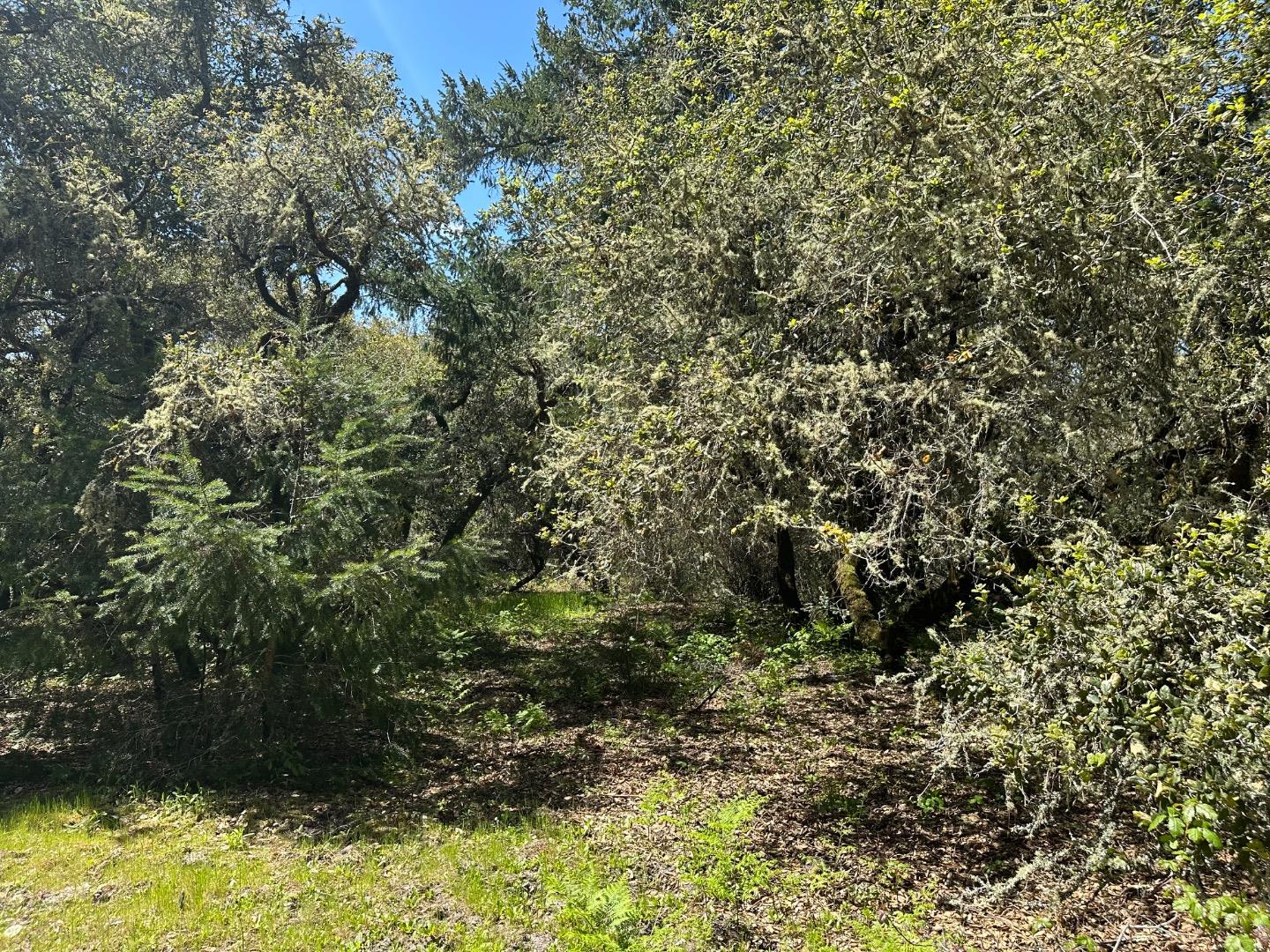 000 Hidden Glen Drive