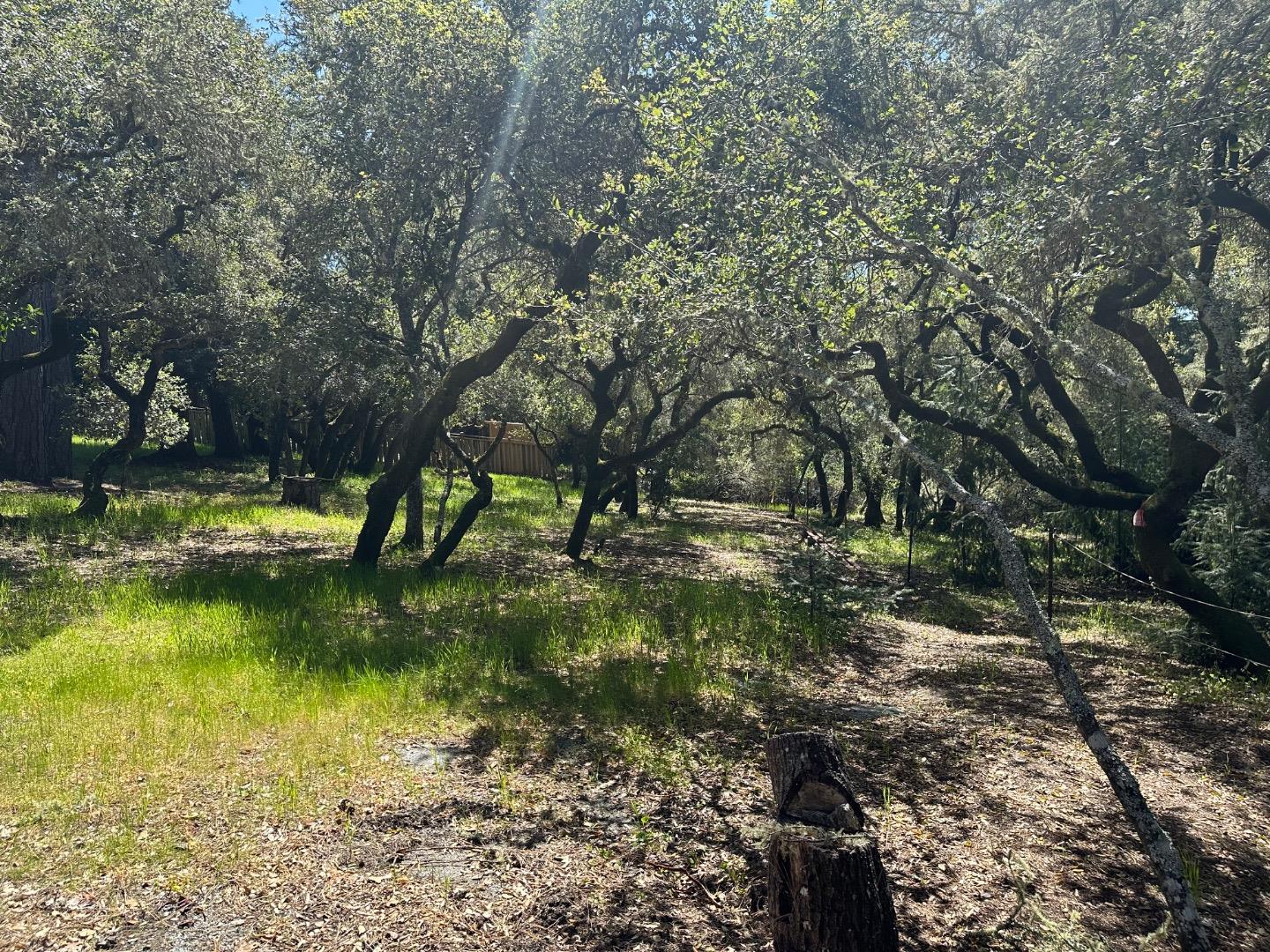 000 Hidden Glen Drive