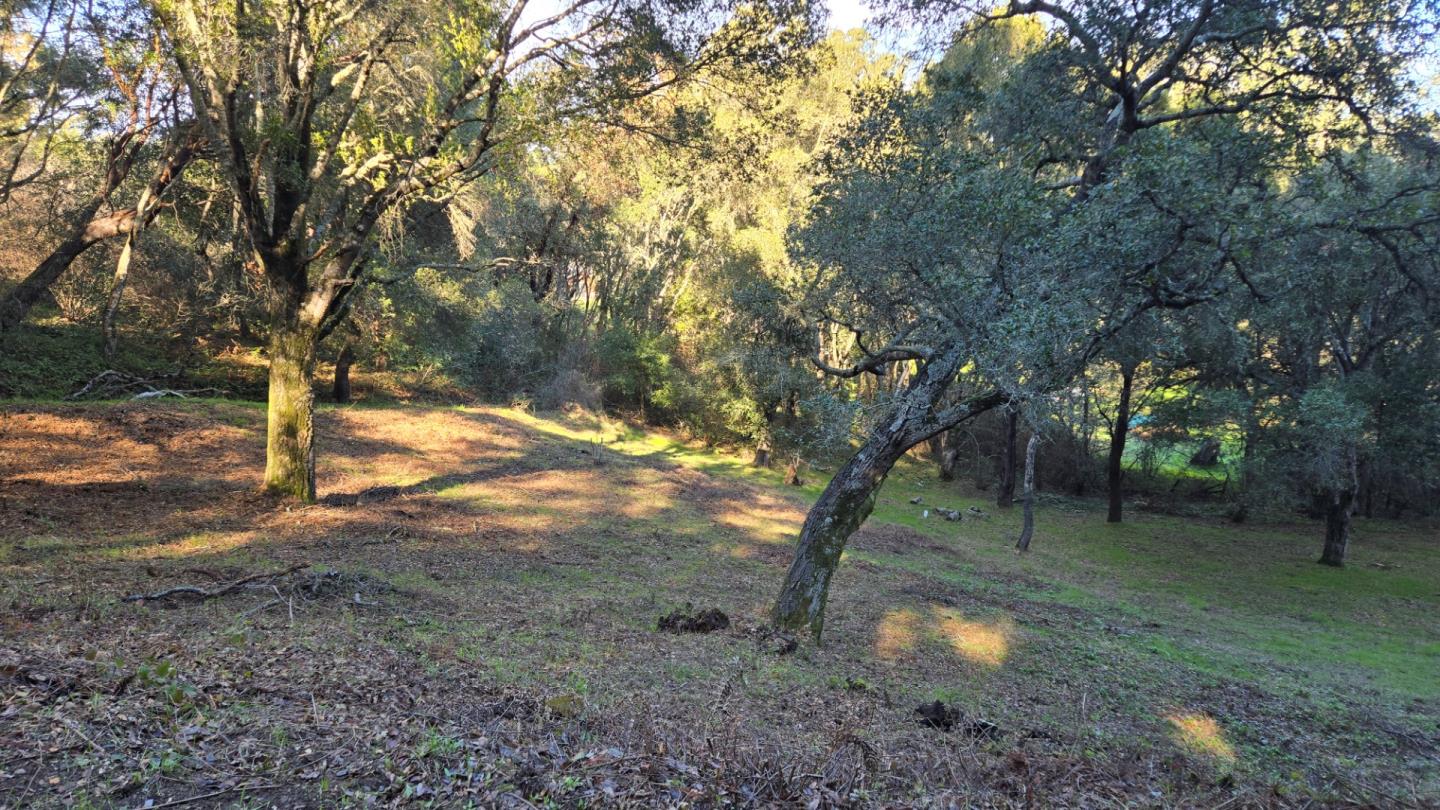 245 Gillette Road