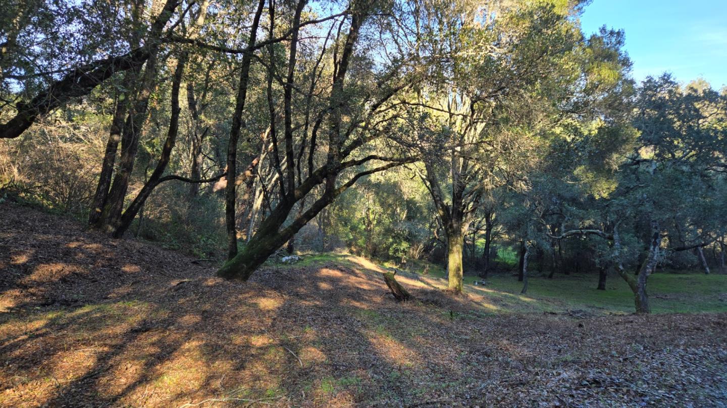 245 Gillette Road