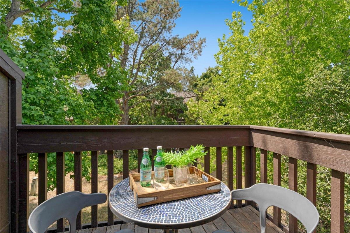 139 Tree Frog Lane