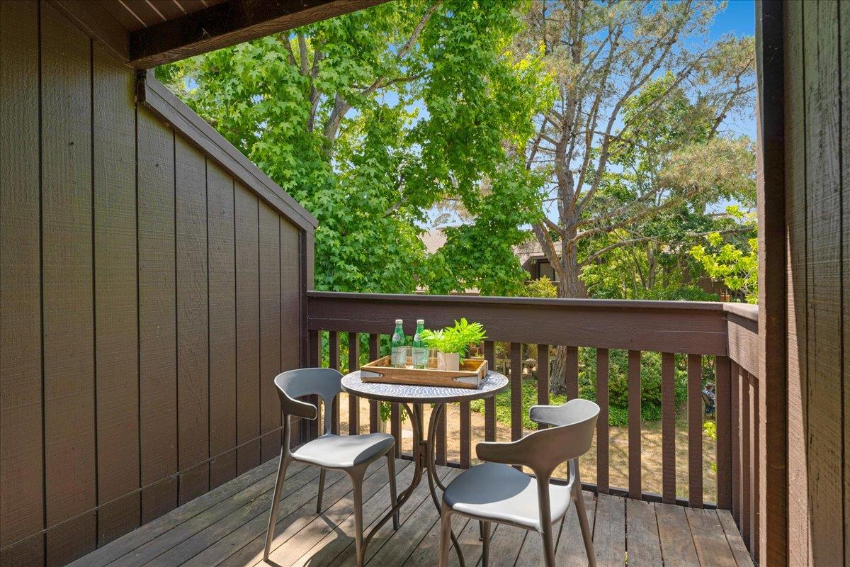 139 Tree Frog Lane