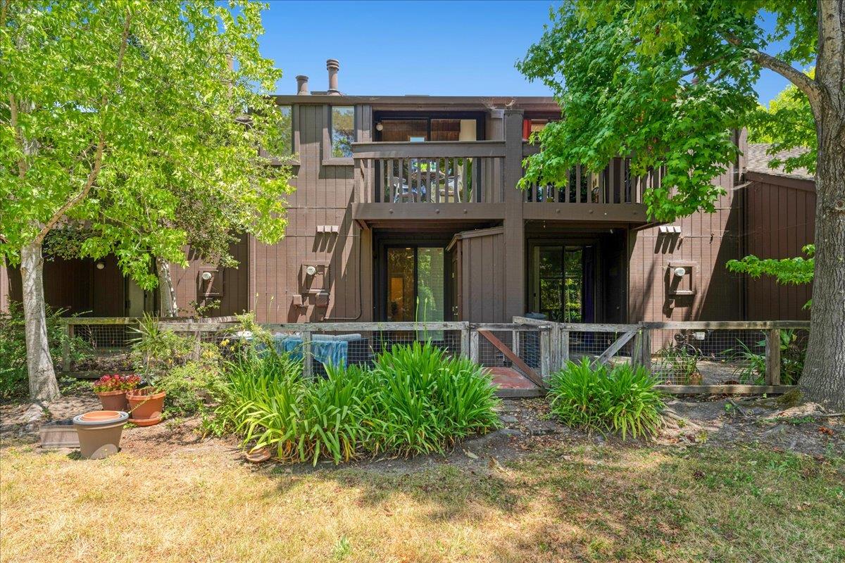 139 Tree Frog Lane