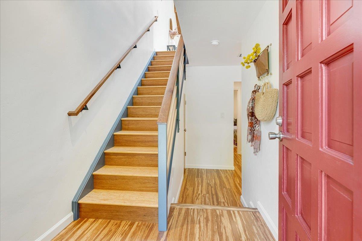 139 Tree Frog Lane