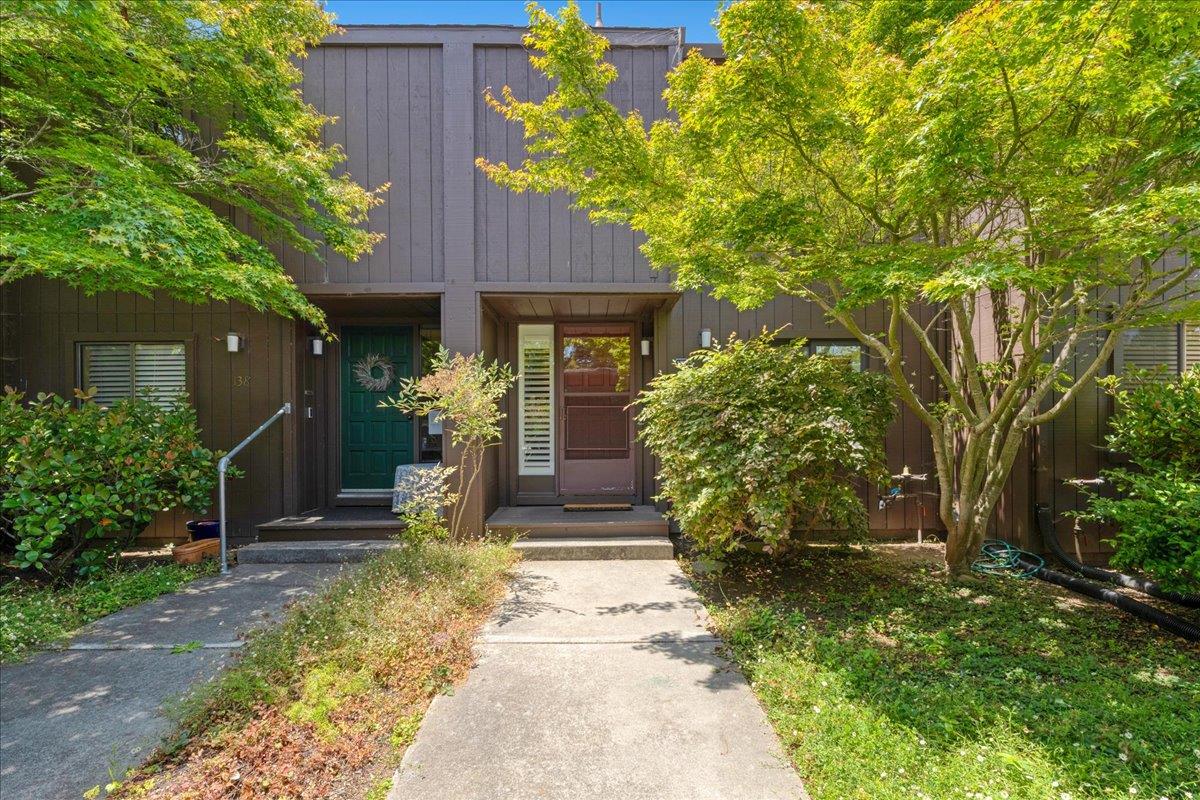 139 Tree Frog Lane