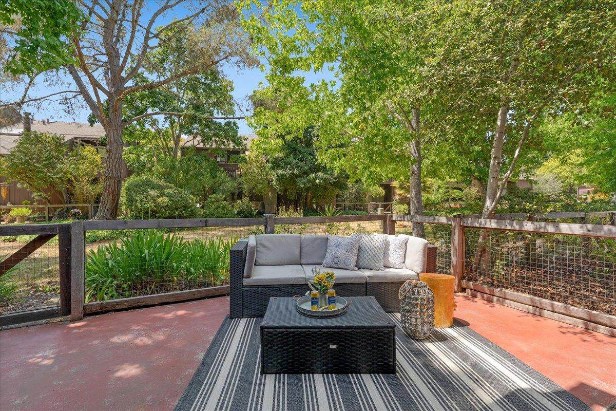 139 Tree Frog Lane