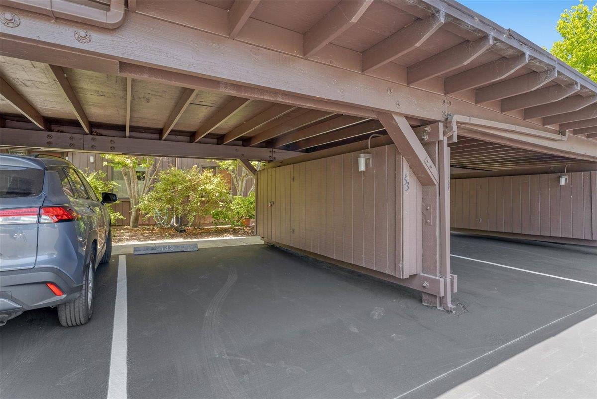139 Tree Frog Lane
