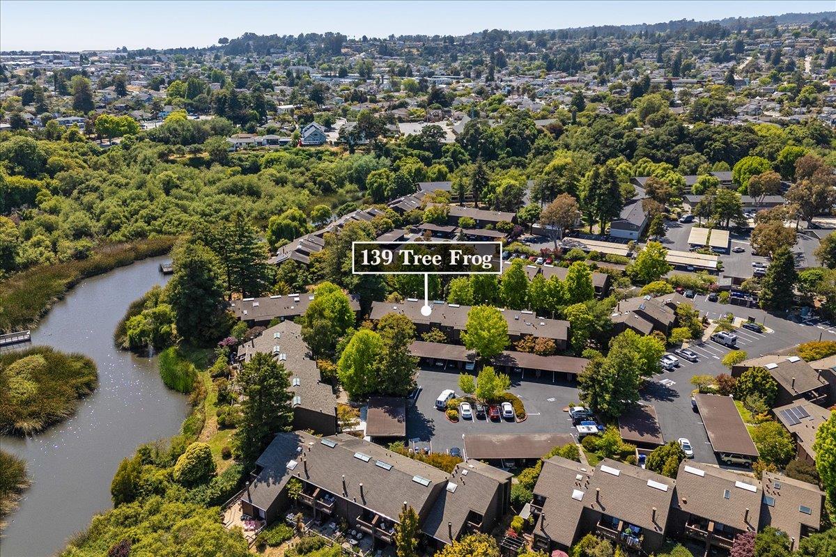 139 Tree Frog Lane