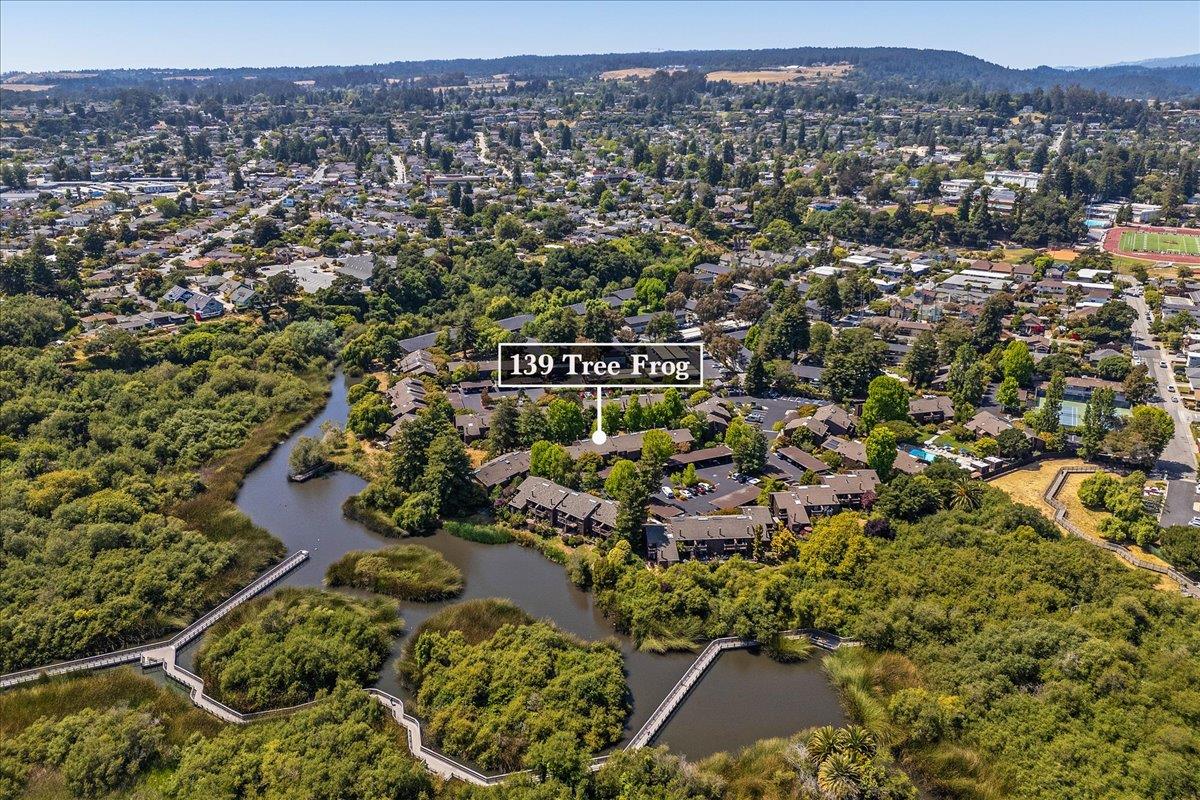 139 Tree Frog Lane