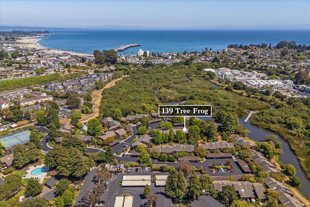 139 Tree Frog Lane