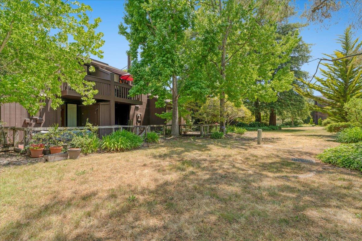 139 Tree Frog Lane