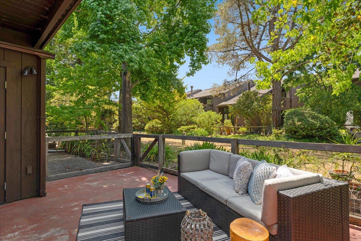 139 Tree Frog Lane