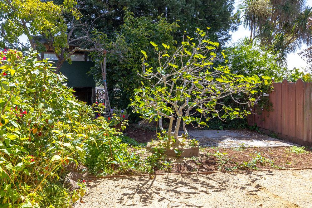 328 Stanford Avenue
