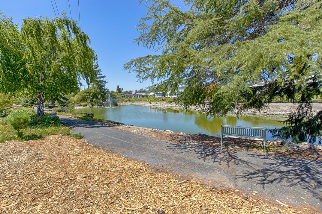 225 Mount Hermon Unit: 164