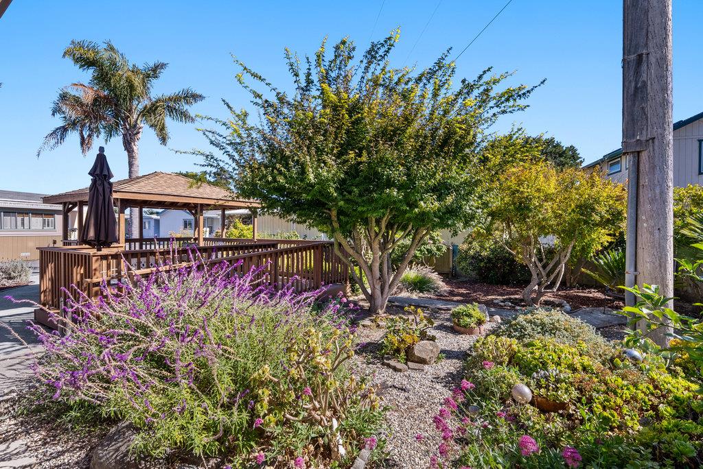 2355 Brommer Street Unit: 44