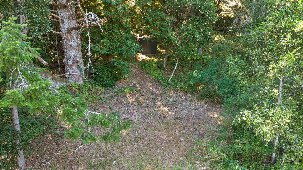 1239 La Madrona Drive