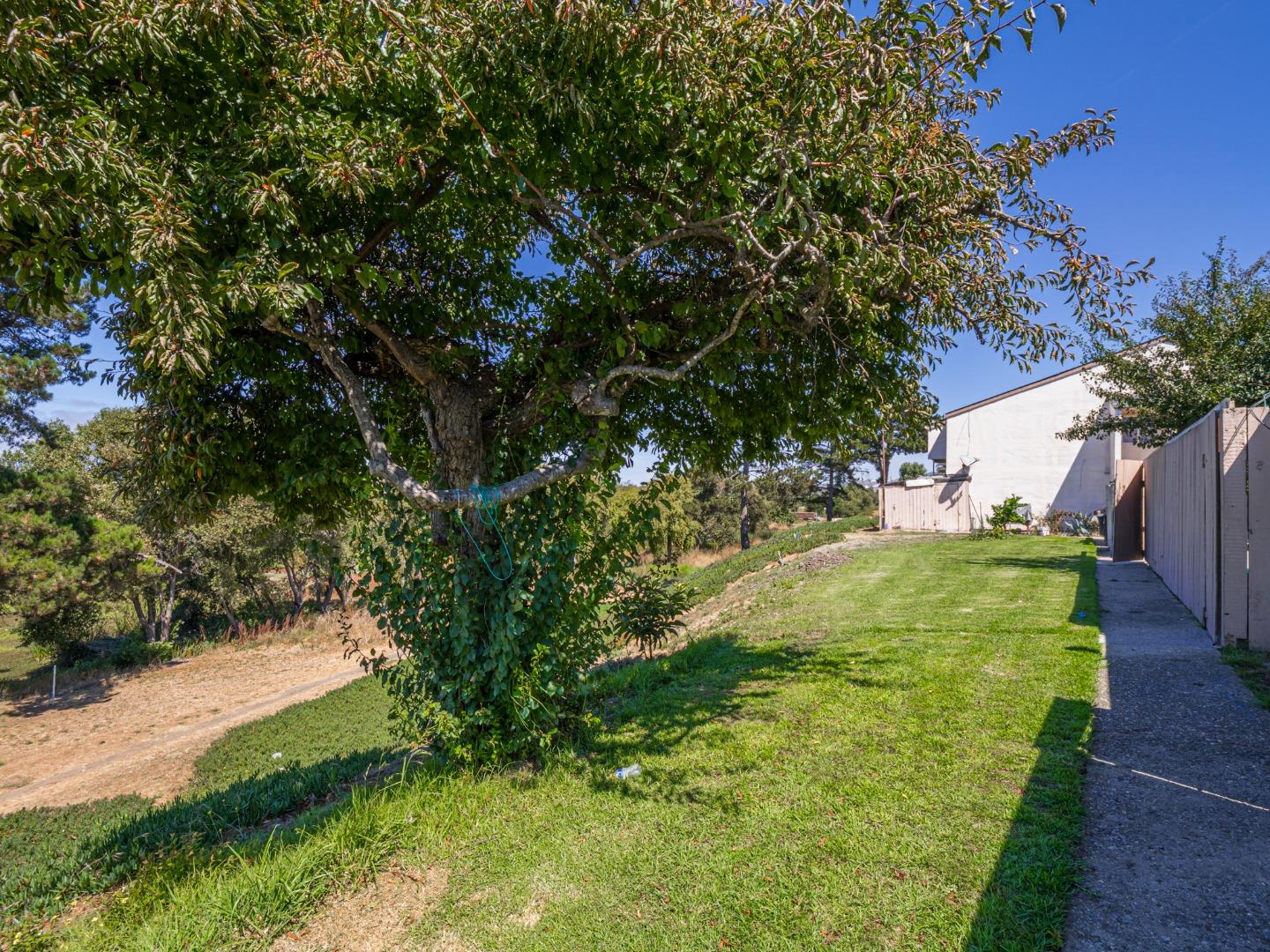 914 Acosta Plaza 111