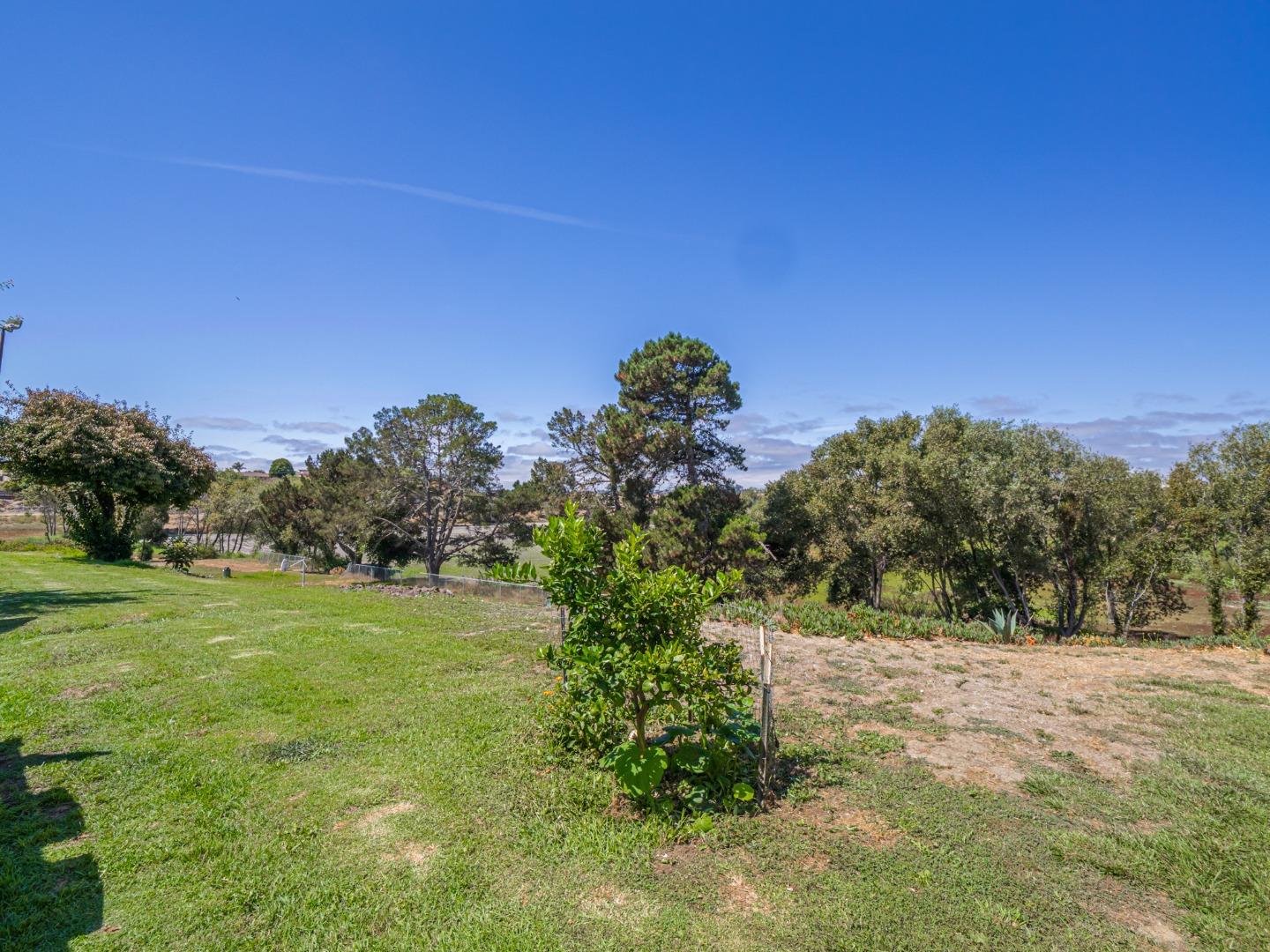 914 Acosta Plaza 111