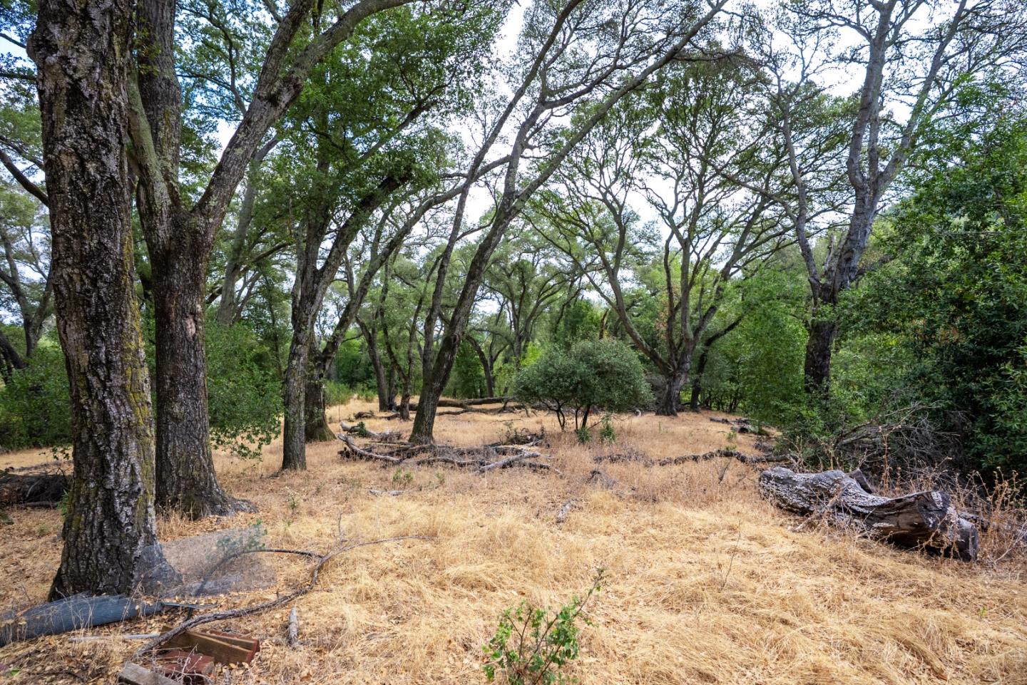 0000 Wagner Road