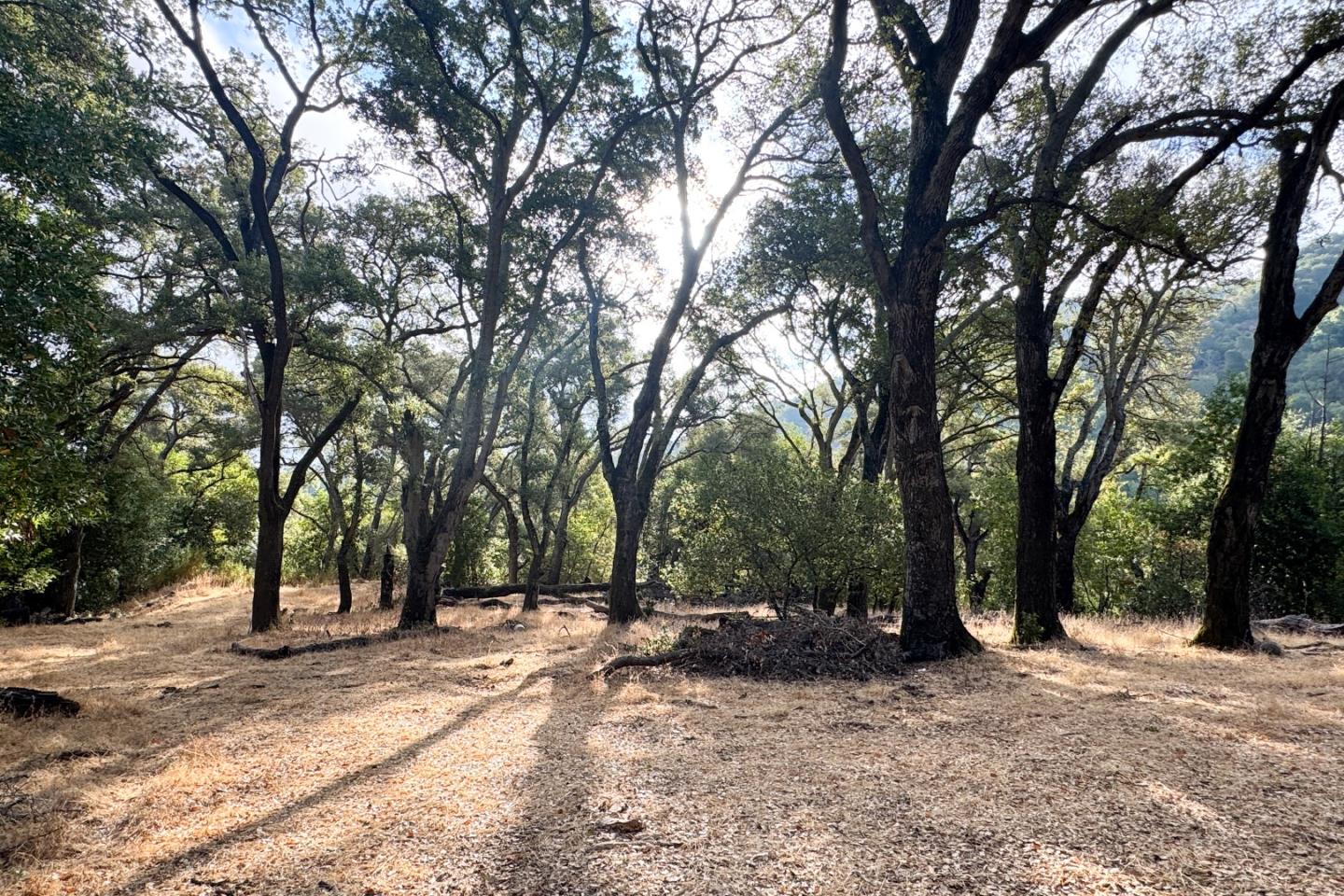 0000 Wagner Road
