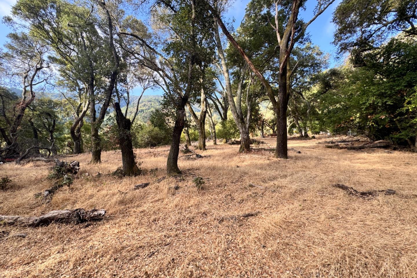0000 Wagner Road