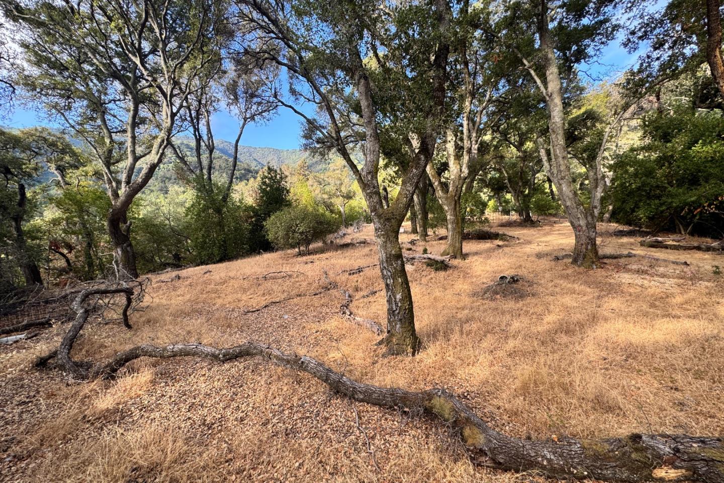 0000 Wagner Road