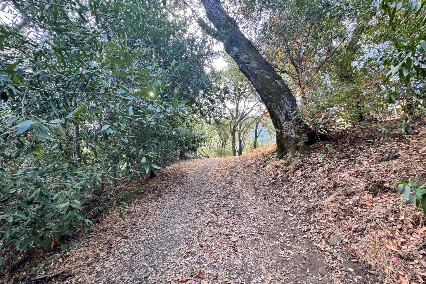 0000 Wagner Road
